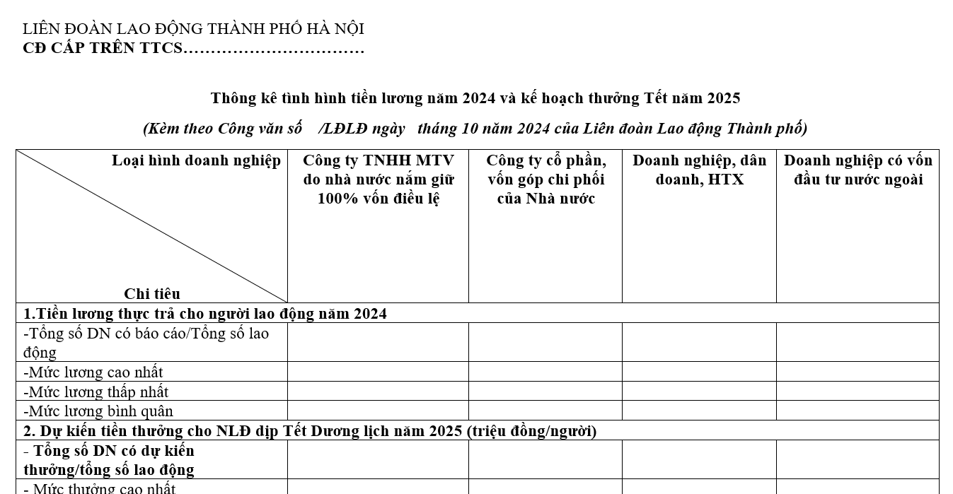 Mẫu báo cáo thống kê tình hình tiền lương năm 2024 và kế hoạch thưởng Tết năm 2025 mới nhất?