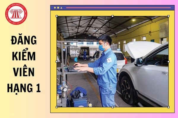 Đăng kiểm viên hạng 1 thực hiện kiểm định xe cơ giới cần đáp ứng nội dung tập huấn nghiệp vụ từ 01/01/2025?