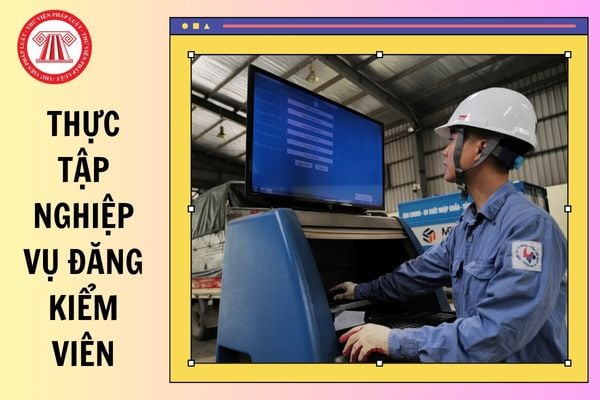 Mẫu báo cáo kết quả thực tập nghiệp vụ đăng kiểm viên từ 01/01/2025?