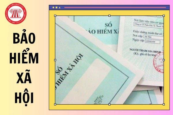 Từ 01/7/2025, tỷ lệ đóng Bảo hiểm xã hội của người lao động nước ngoài được pháp luật quy định là bao nhiêu?