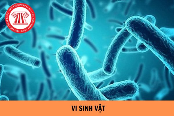 Mẫu thử dùng để sàng lọc phát hiện các loại Staphylococcal enterotoxin trong thực phẩm phải được bảo quản như thế nào theo TCVN 12753:2019?