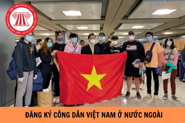 Hướng dẫn thủ tục đăng ký công dân Việt Nam ở nước ngoài từ ngày 15/02/2024?