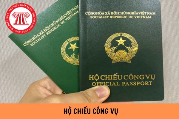 Mẫu tờ khai cấp hộ chiếu công vụ mới nhất 2024?