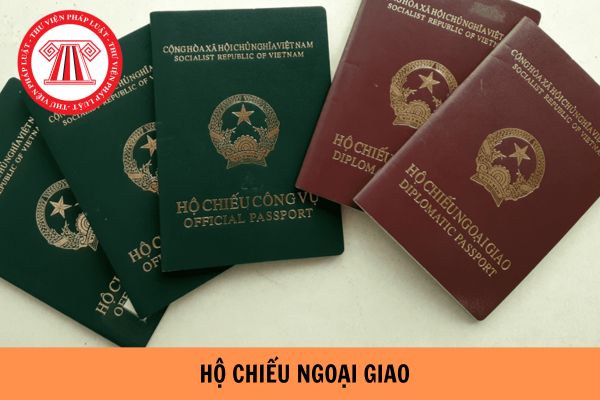 Mẫu tờ khai cấp hộ chiếu ngoại giao mới nhất 2024?