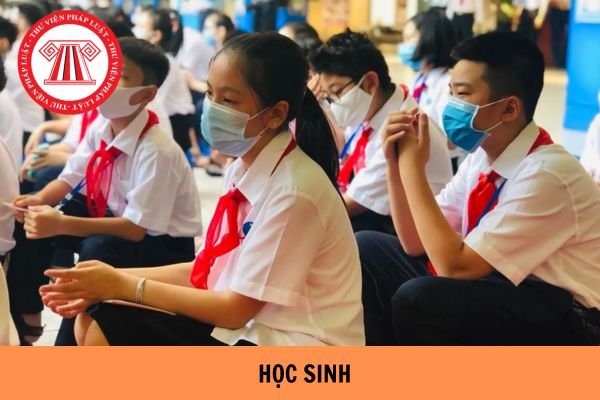 Mẫu bản cam kết không tái phạm của học sinh mới nhất 2024?