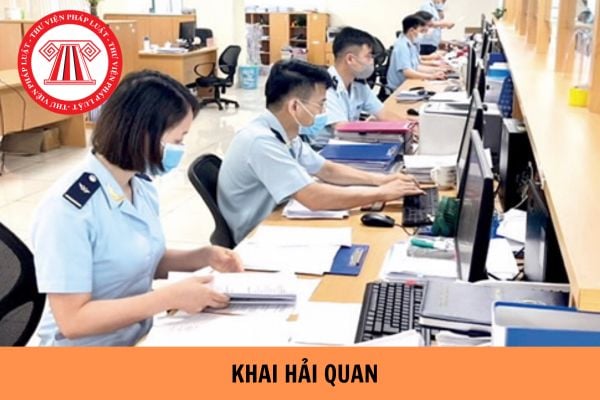 Hướng dẫn ghi tờ khai hải quan hàng hóa xuất nhập khẩu?