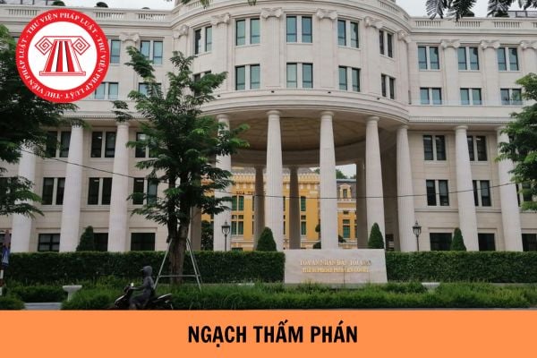 Hiện nay có những ngạch Thẩm phán nào? 05 trường hợp Thẩm phán không được phân công giải quyết án?