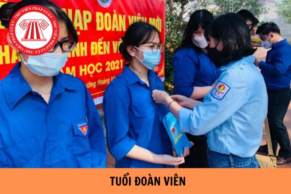 Quy định tuổi đoàn viên mới nhất 2024? Bao nhiêu tuổi hết tuổi đoàn?