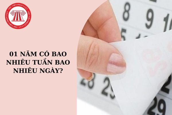 01 năm có bao nhiêu tuần bao nhiêu ngày? 01 năm người lao động được xin nghỉ phép tối đa bao nhiêu ngày?