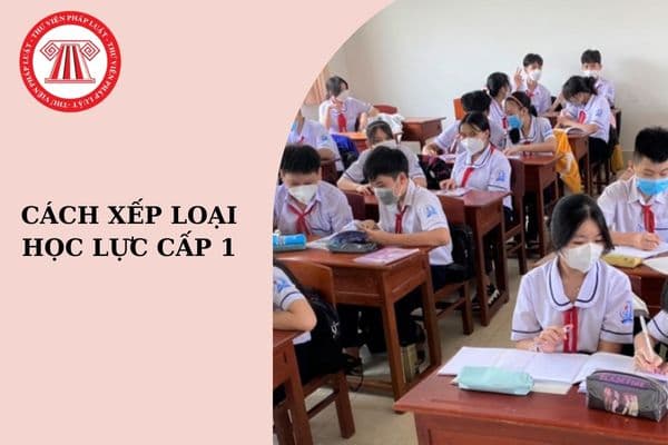 Cách xếp loại học lực cấp 1 mới nhất năm học 2024-2025?