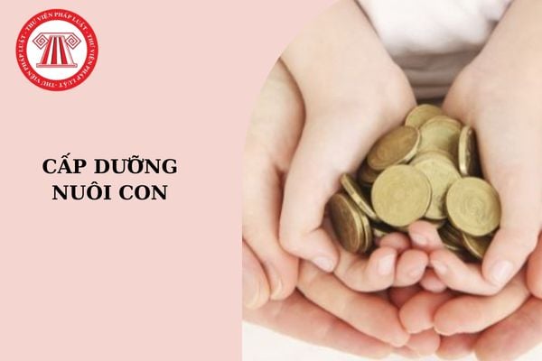 Mẫu đơn yêu cầu cấp dưỡng nuôi con mới nhất hiện nay?