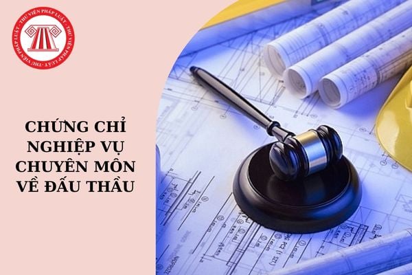 Cơ quan nào có thẩm quyền thu hồi chứng chỉ nghiệp vụ chuyên môn về đấu thầu?