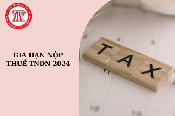 Gia hạn nộp thuế TNDN 2024 đến khi nào?