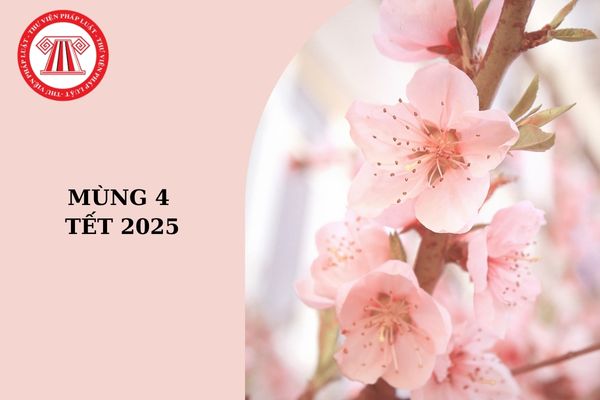 Mùng 4 Tết 2025 là ngày mấy dương lịch? Mùng 4 Tết 2025 đã đi làm lại chưa?