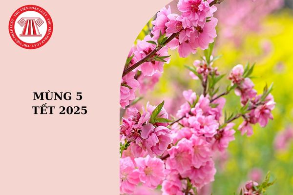 Mùng 5 Tết 2025 là ngày mấy dương lịch? Tết Âm lịch 2025 được bắn pháo hoa vào thời điểm nào?