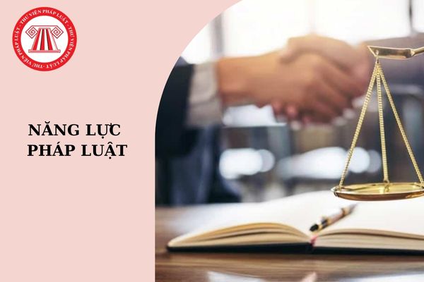 Năng lực pháp luật là gì? Năng lực pháp luật và năng lực hành vi khác nhau như thế nào?