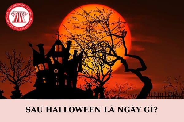 Sau Halloween là ngày gì? Cho kẹo hay bị ghẹo trong lễ hội Halloween nghĩa là gì? Lao động nước ngoài có được nghỉ vào ngày lễ hội Halloween không?