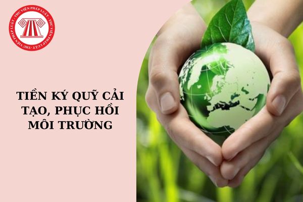 Lựa Chọn Ngân Hàng và Mức Phí Dịch Vụ Ký Quỹ LC