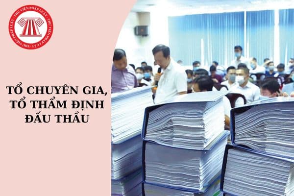 Tổ chuyên gia, tổ thẩm định kết quả lựa chọn nhà thầu lĩnh vực y tế được lựa chọn như thế nào?