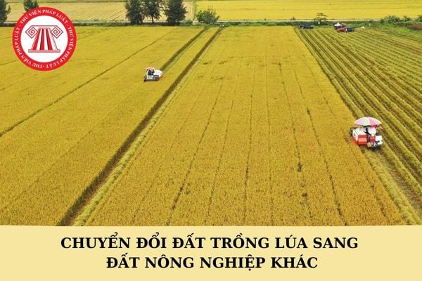 Chuyển đổi đất trồng lúa sang đất nông nghiệp khác có phải xin phép không?