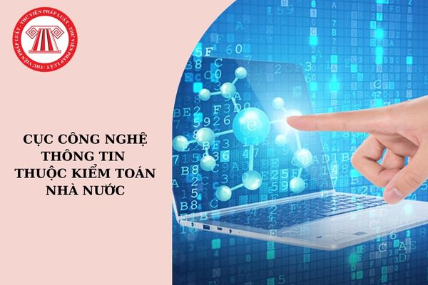 Cục Công nghệ thông tin thuộc Kiểm toán nhà nước có tư cách pháp nhân không? Có được cung cấp dịch vụ về công nghệ thông tin cho tổ chức ngoài ngành?