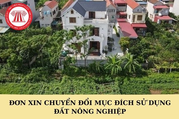 Mẫu đơn xin chuyển đổi mục đích sử dụng đất nông nghiệp mới nhất 2024?