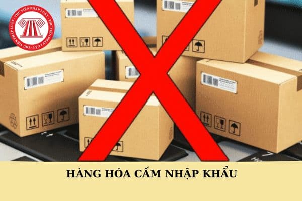 Hàng hóa cấm nhập khẩu được nhập khẩu trong trường hợp nào?