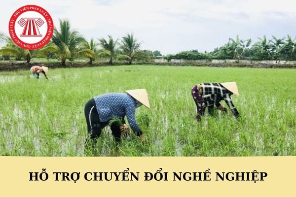 Hỗ trợ chuyển đổi nghề nghiệp khi thu hồi đất cho đối tượng nào?