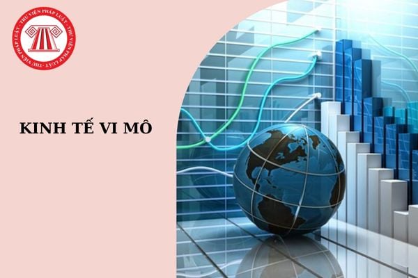 Ngân hàng Nhà nước có trách nhiệm gì trong việc phân loại tài sản của tổ chức kinh tế vi mô?