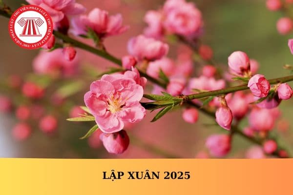 Lập xuân 2025 vào ngày nào âm lịch? Ngày Lập xuân bắt đầu và kết thúc vào ngày nào?