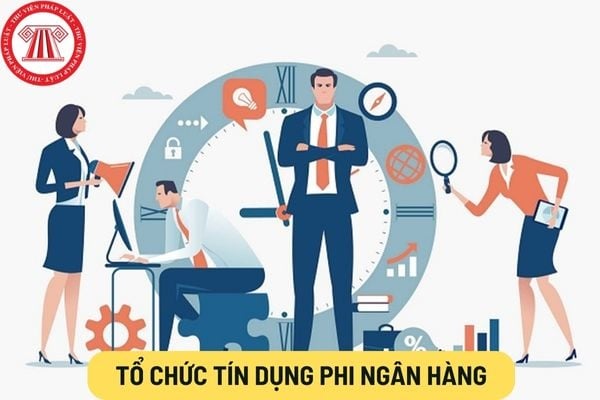 Hoạt động kiểm soát của tổ chức tín dụng phi ngân hàng có phải thực hiện việc phân bổ nguồn nhân lực không?