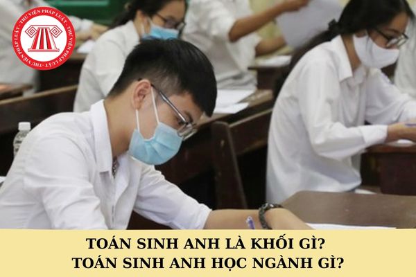 Toán sinh anh là khối gì? Toán sinh anh học ngành gì?