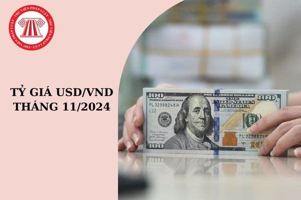 Tỷ giá USD tháng 11/2024 là bao nhiêu? Tỷ giá hạch toán ngoại tệ hàng tháng được tính bình quân theo tỷ giá nào?