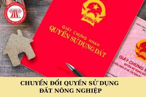 Chuyển đổi quyền sử dụng đất nông nghiệp có phải nộp lệ phí trước bạ không?