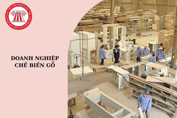 Tiêu chí phân loại doanh nghiệp chế biến gỗ là gì?