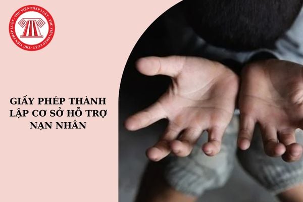 Hồ sơ đề nghị cấp giấy phép thành lập cơ sở hỗ trợ nạn nhân mua bán người gồm những gì?