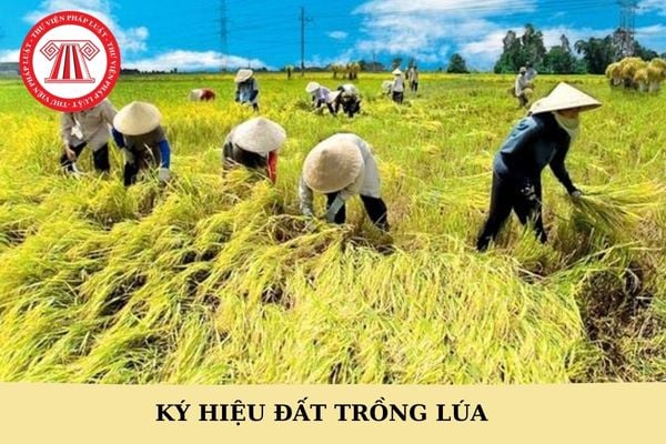 Ký hiệu đất trồng lúa, đất chuyên trồng lúa và đất trồng lúa còn lại là gì? 