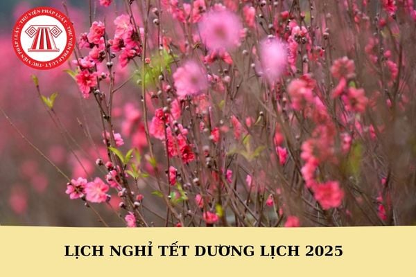 Lịch nghỉ Tết dương lịch 2025 của một số đơn vị vận chuyển?