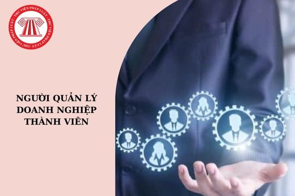 Người quản lý doanh nghiệp thành viên có được làm thành viên Hội đồng thành viên của doanh nghiệp nhà nước không?