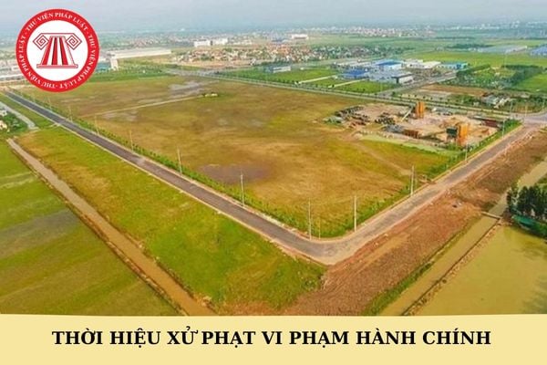 Có bao nhiêu hình thức xử phạt hành chính trong lĩnh vực đất đai?