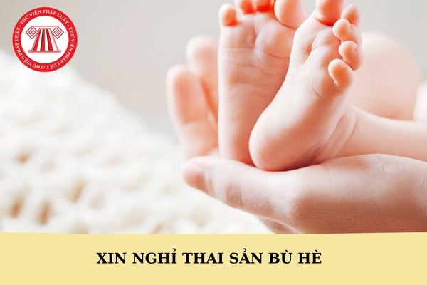 Mẫu đơn xin nghỉ thai sản bù hè của giáo viên mới nhất?