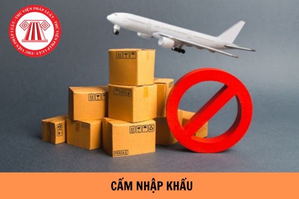 Danh mục hàng hóa đã qua sử dụng cấm nhập khẩu mới nhất 2024?