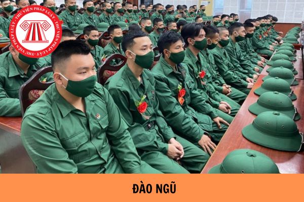 Thế nào là đào ngũ? Tội đào ngũ trong thời bình bị xử lý như thế nào?