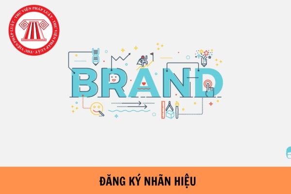 Việc đánh giá sự tương tự hàng hóa, dịch vụ khi thẩm định đơn đăng ký nhãn hiệu được quy định như thế nào? 