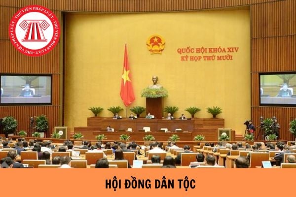 Hội đồng dân tộc là gì? Hội đồng dân tộc do ai bầu?