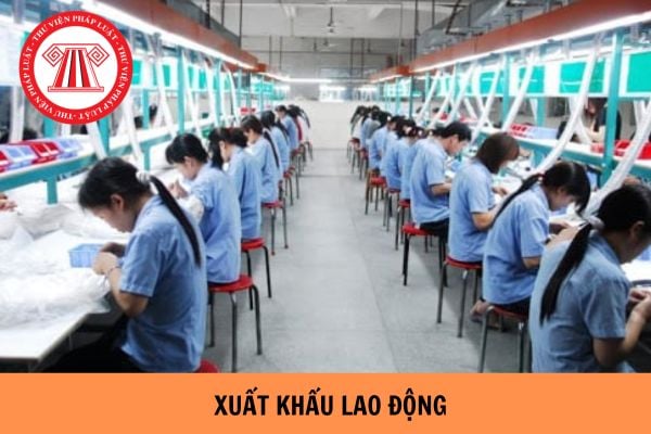 Mức trần giá dịch vụ theo hợp đồng môi giới xuất khẩu lao động 2024 là bao nhiêu?