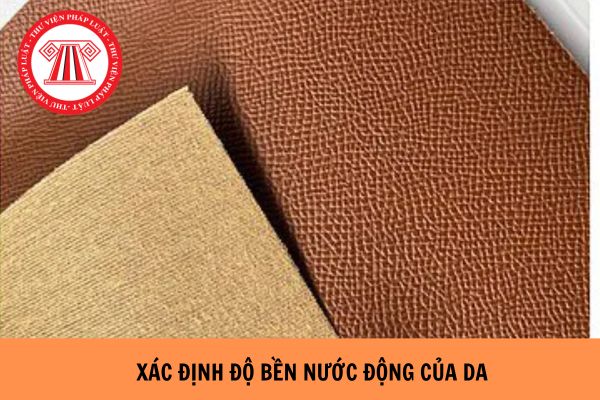 Cách tiến hành xác định độ cứng và biên độ thử độ bền nước động của da theo TCVN 7427-1:2014 như thế nào?