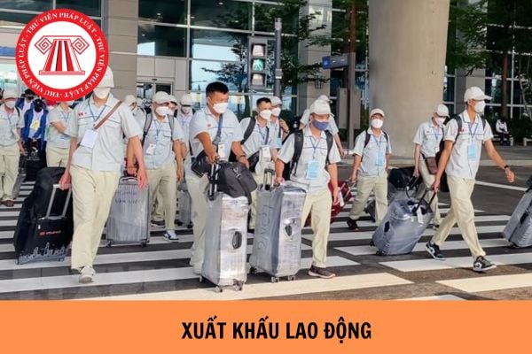 Bao nhiêu tuổi được đi xuất khẩu lao động?