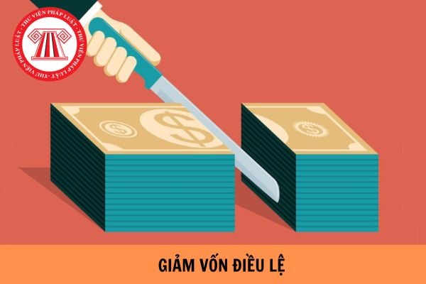 Hồ sơ giảm vốn điều lệ công ty cổ phần gồm có những gì?