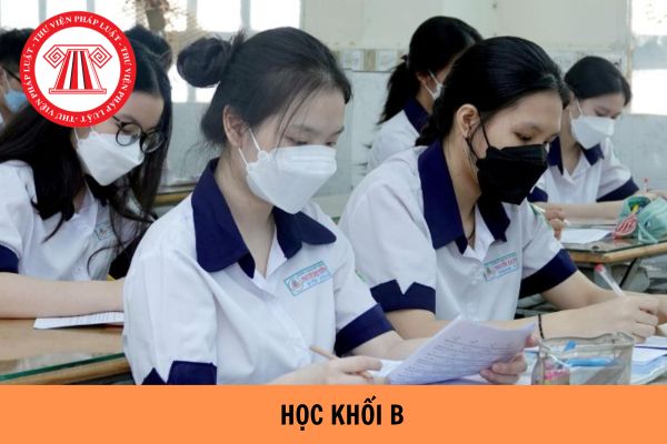 Học khối B gồm những môn nào? Khối B gồm những ngành nào?